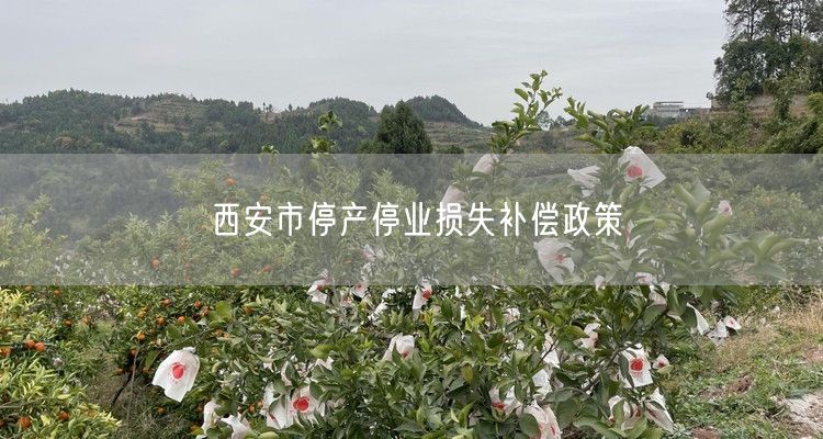 西安市停产停业损失补偿政策
