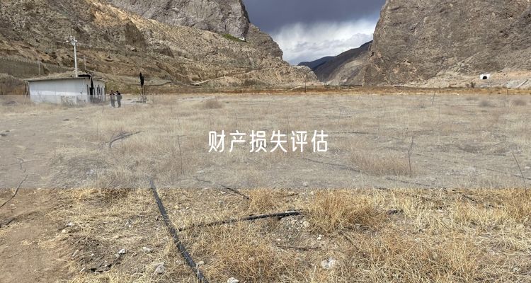 财产损失评估 财产损失评估