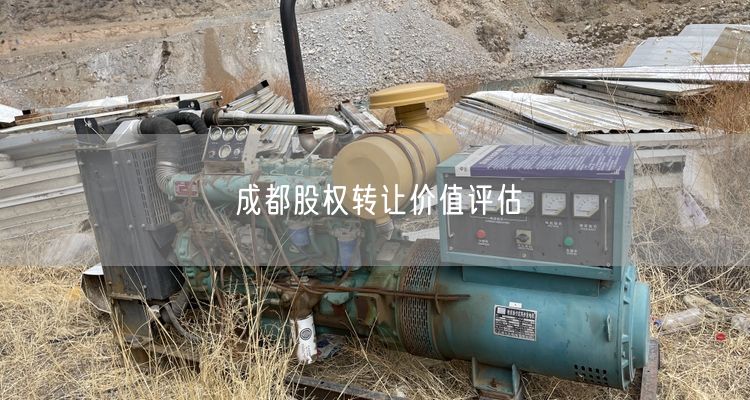 成都股权转让价值评估 成都股权转让价值评估