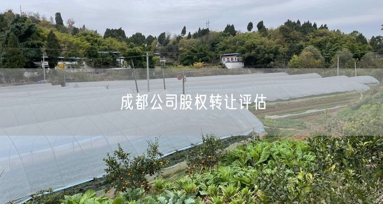 成都公司股权转让评估