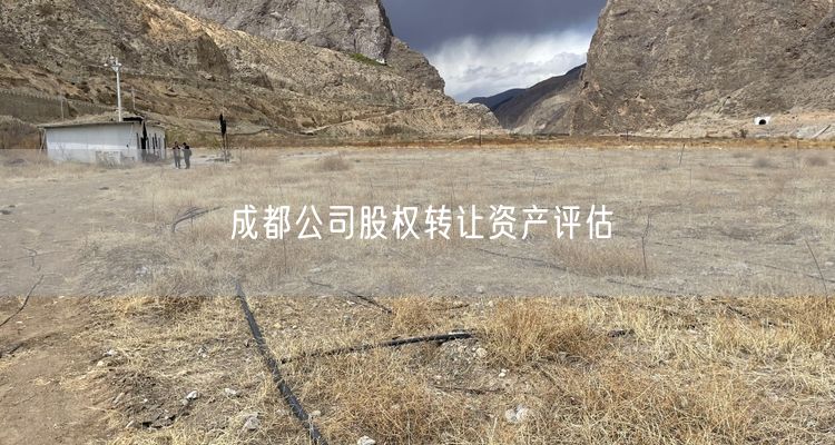 成都公司股权转让资产评估 成都公司股权转让资产评估