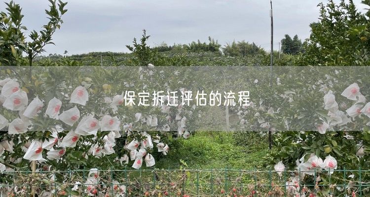 保定拆迁评估的流程