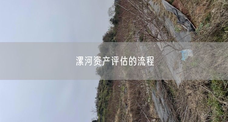 漯河资产评估的流程 漯河资产评估的流程