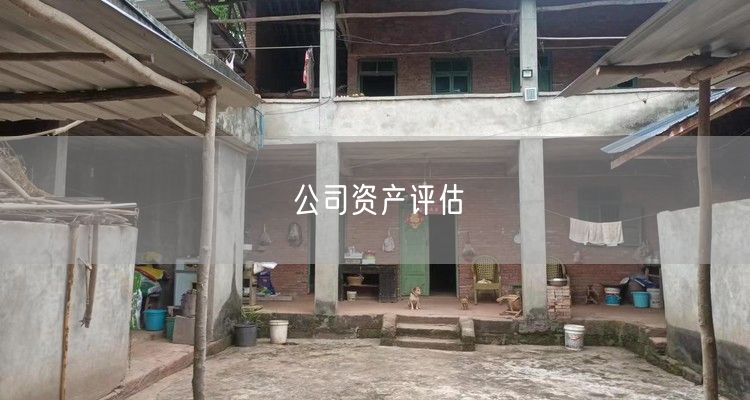 公司资产评估