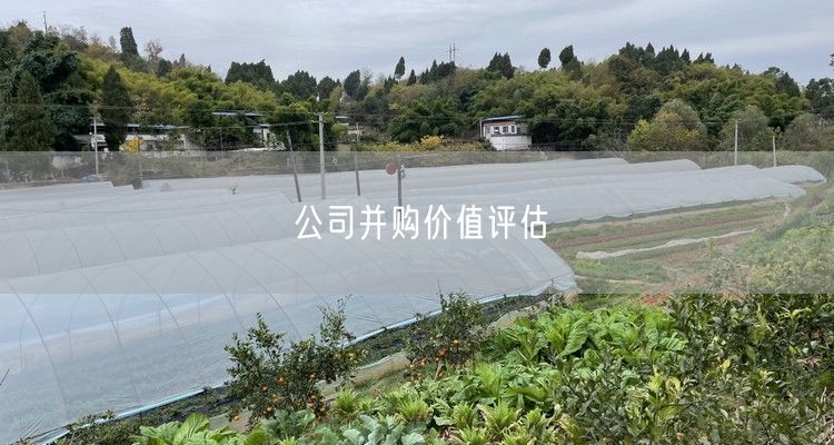 公司并购价值评估