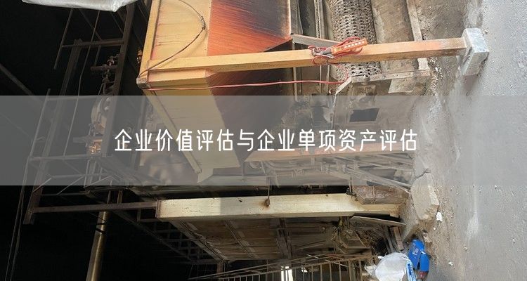 企业价值评估与企业单项资产评估
