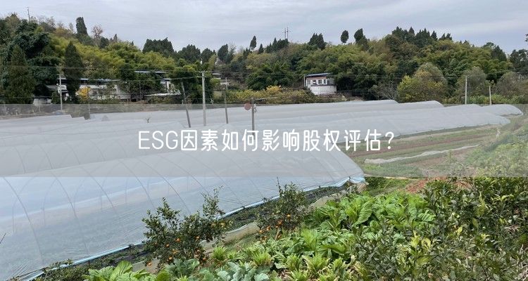 ESG因素如何影响股权评估？