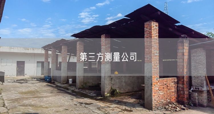 第三方测量公司
