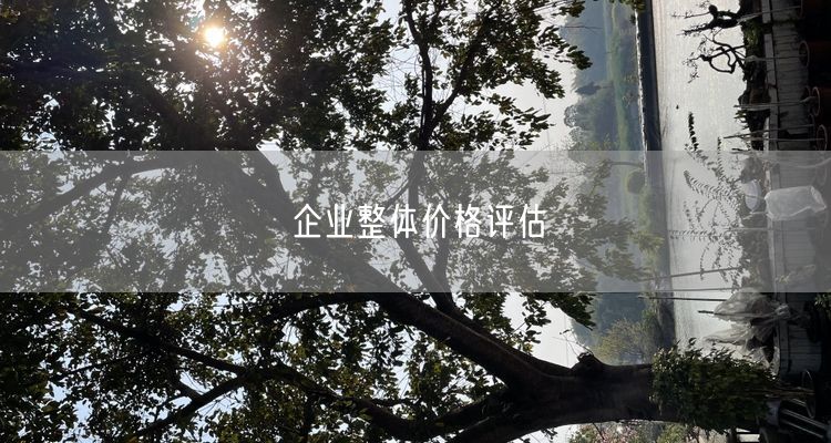 企业整体价格评估