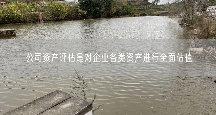 公司资产评估是对企业各类资产进行全面估值