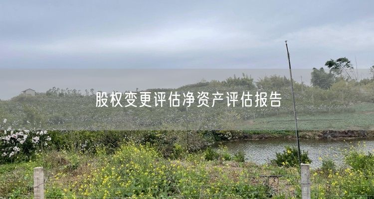 股权变更评估净资产评估报告