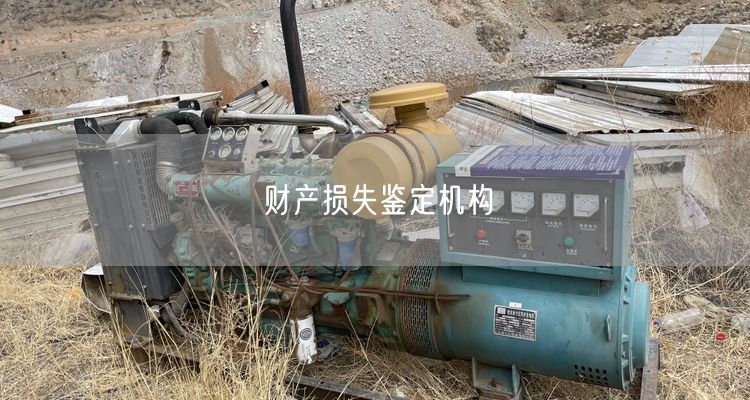 财产损失鉴定机构