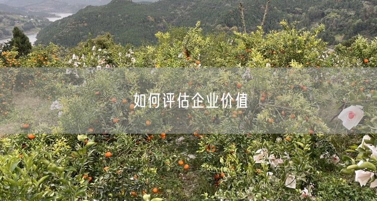 如何评估企业价值
