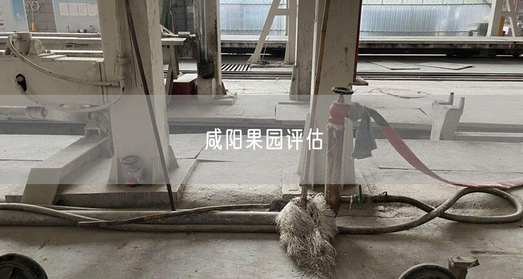 咸阳果园评估