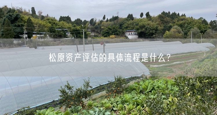 松原资产评估的具体流程是什么？