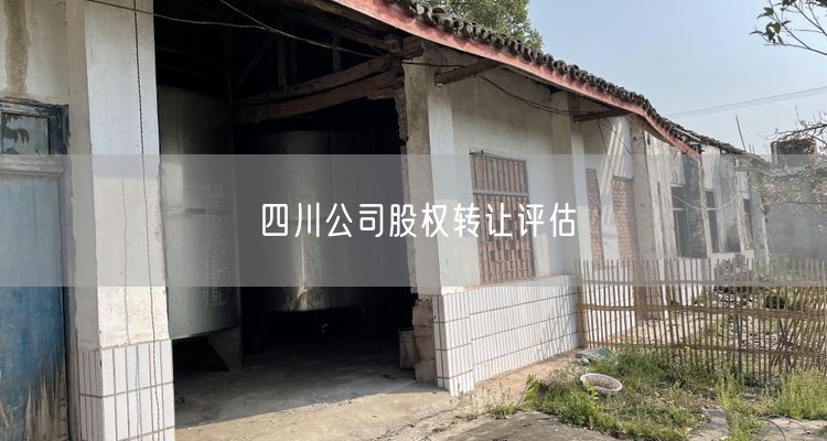 四川公司股权转让评估