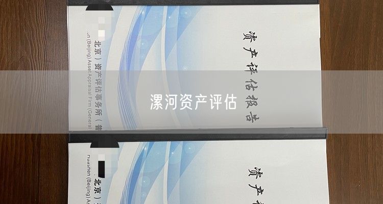 漯河资产评估