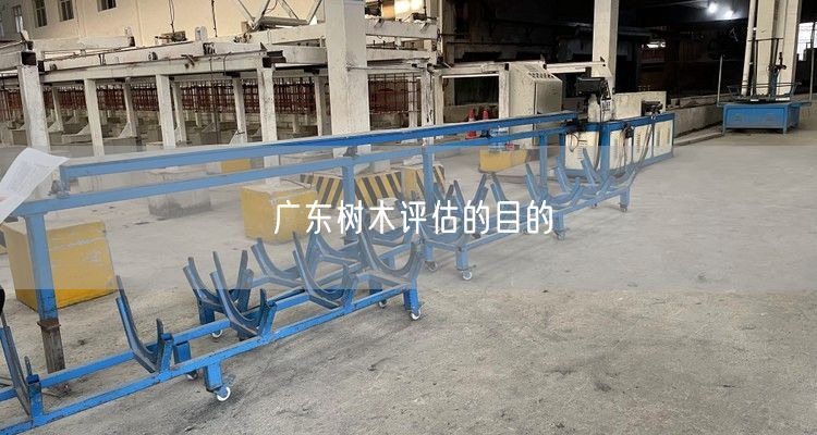 广东树木评估的目的
