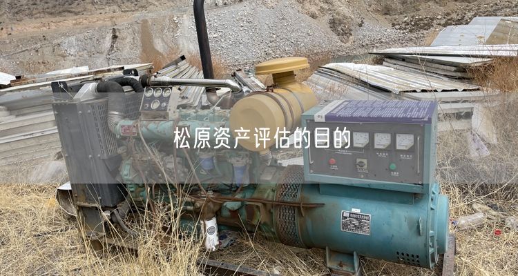 松原资产评估的目的
