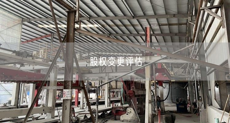 股权变更评估