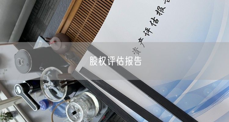 股权评估报告