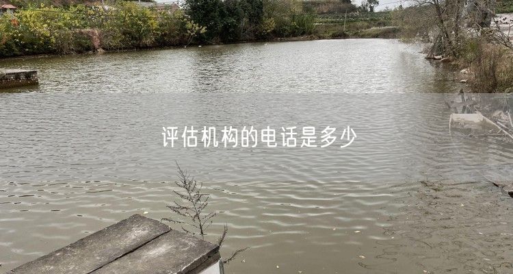 评估机构的电话是多少