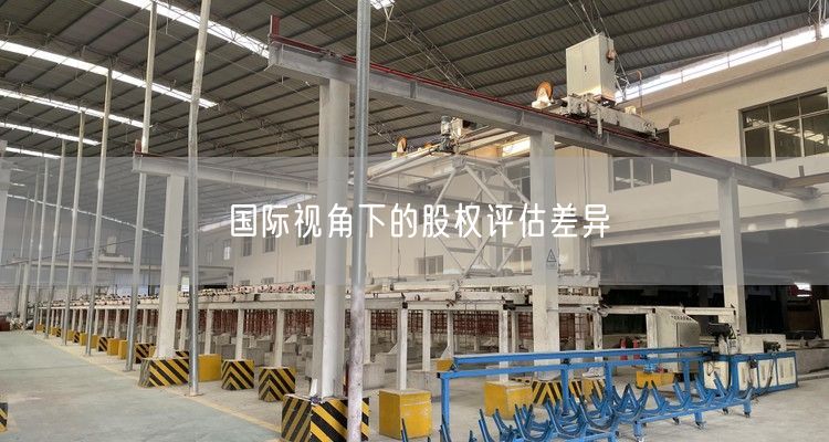 国际视角下的股权评估差异