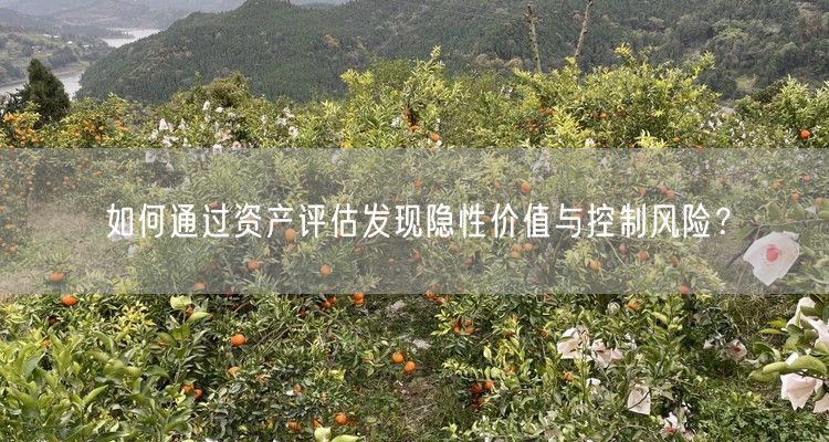 如何通过资产评估发现隐性价值与控制风险?