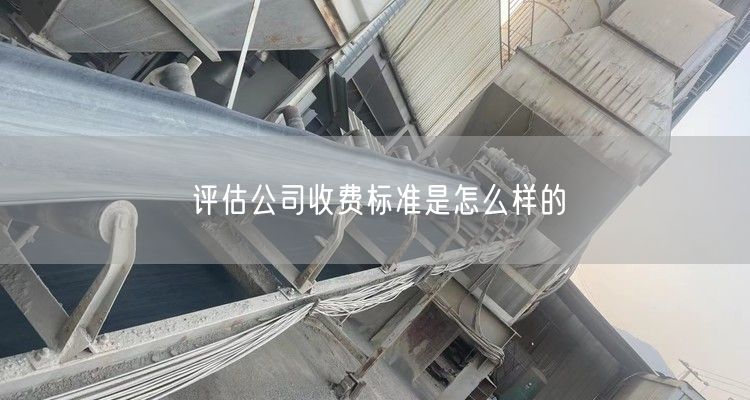 评估公司收费标准是怎么样的