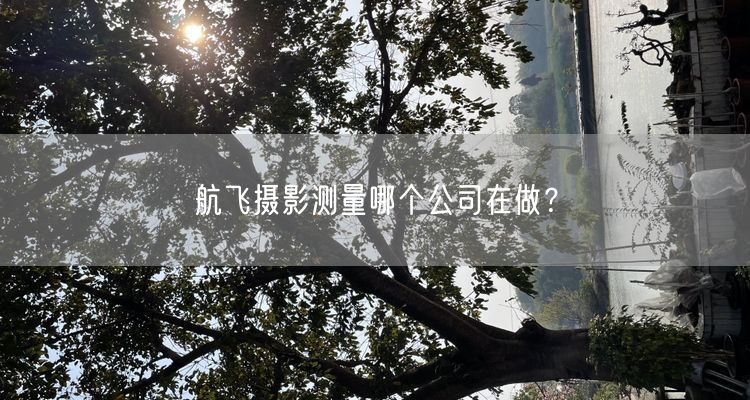 航飞摄影测量哪个公司在做？